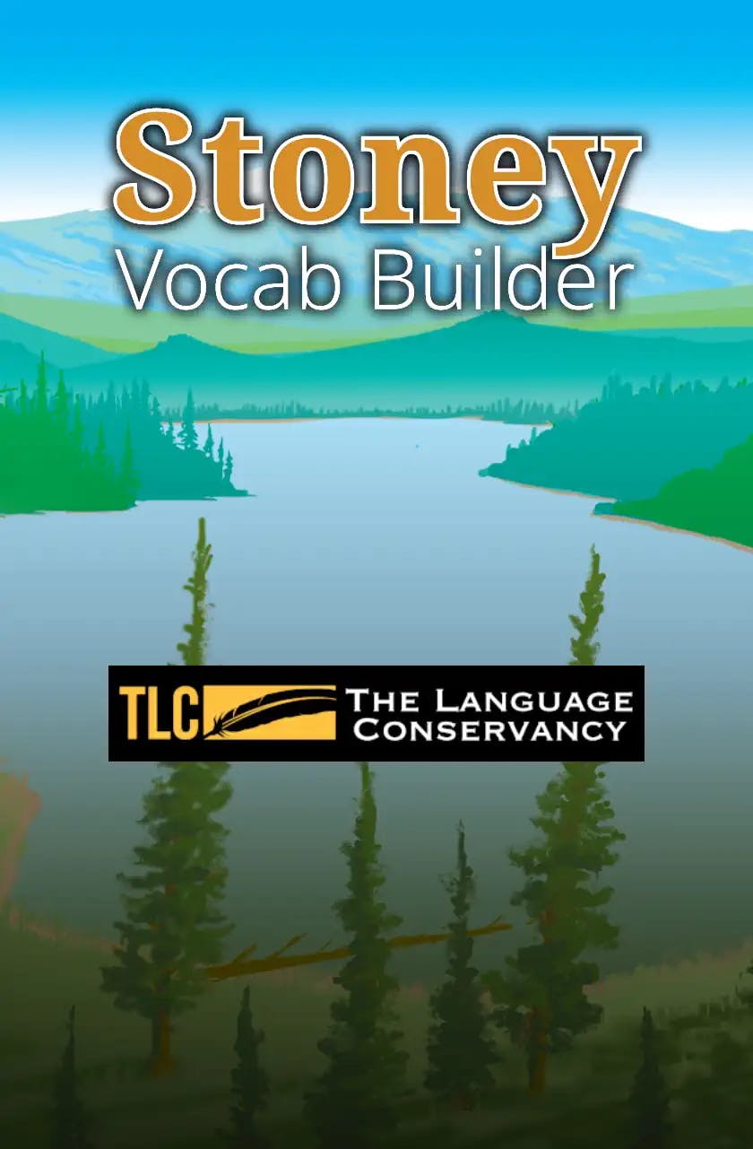 Vocab Builder Background