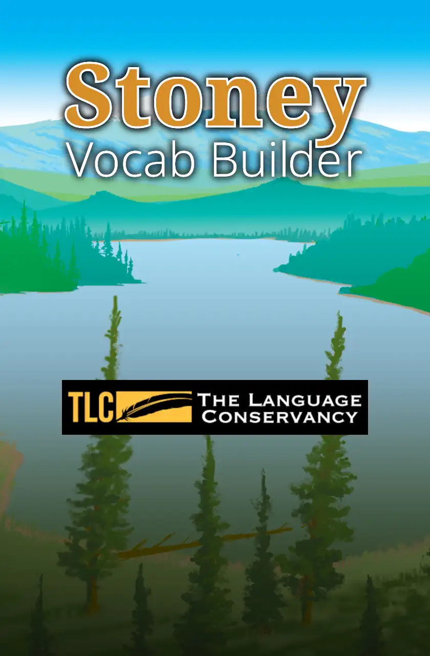 Vocab Builder Background